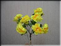 /netcat_files/114/158/h_321def606c80d8caa57a72c9ffbe11ec