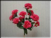 /netcat_files/114/158/h_2d2a5b250452e09fb5d5b6419c2f0b1a