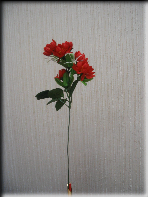 /netcat_files/115/159/h_a20ac8b45e00433b766dbbd7afce8017