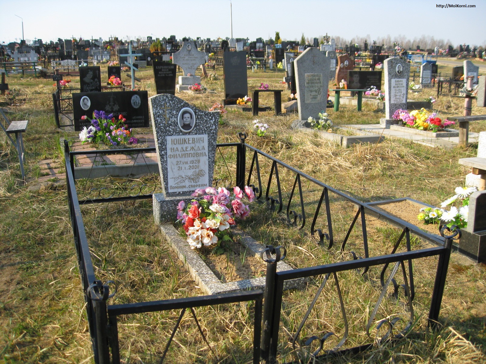 /netcat_files/1910/1996/h_4fd6310970b0ba557dabc94999d9803f