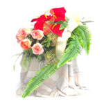 �����,���������� �����,�������� ������,�������� �����,����� ��� �����,����� �� ��������