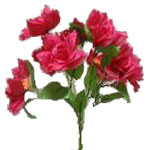 ����� �� ��������,����� �����,����� �� ������,���������� ����������,�������� ����������,�������� �����,����� �� ������