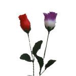 ����� �� ��������,����� �����,����� �� ������,���������� ����������,�������� ����������,�������� �����,����� �� ������